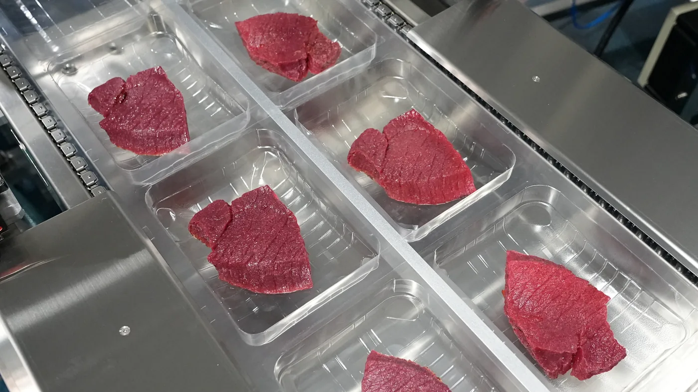 Automatic High-output Map Thermoforming Vacuum Packaging series — view 8 of 8